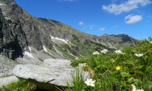 Zdjecie SOWACJA / tatry / w drodze na lodow przecz / serce na kamieniu...