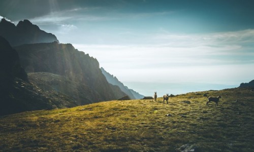 Zdjcie SOWACJA / Tatry Vysoke / Okolice Zbjnickiej Chaty / Czekajc na zim