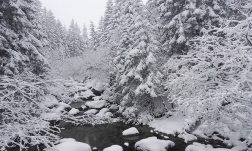 Zdjcie SOWACJA / Dolina Kiezmarska / . / Tatry Wysokie
