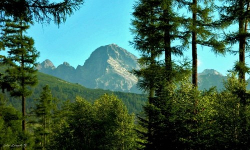 Zdjcie SOWACJA / Poprad. / Stary Smokowiec. / Widok ze Starego Smokowca.