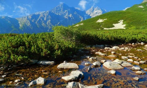 Zdjecie SOWACJA / Dolina Biaej Wody. / Wielki Biay Staw. / Z nad Wielkiego Biaego Stawu.