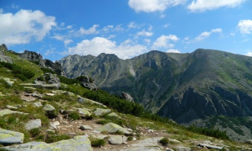 Zdjecie SOWACJA / Wysokie Tatry. / Skrajne Solisko 2093 m. / Ze szlaku na Skrajne Solisko.