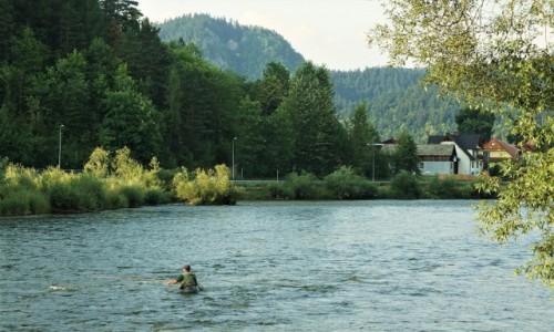 Zdjcie SOWACJA / Pieniny / Czerwony Klasztor / Pow pstrga