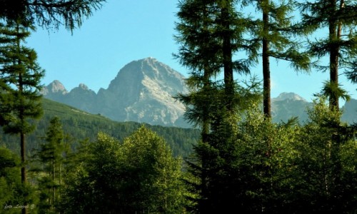 Zdjcie SOWACJA / Wysokie Tatry. / Stary Smokowiec. / Widok ze Starego Smokowca.