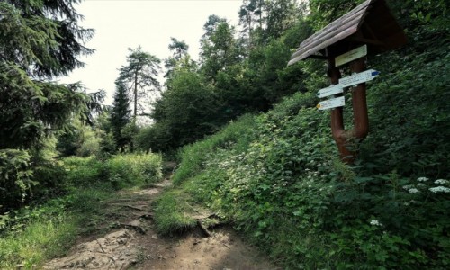 SłOWACJA / Spisz / Przełom Hornadu / Gardło Hornadu - szlaki