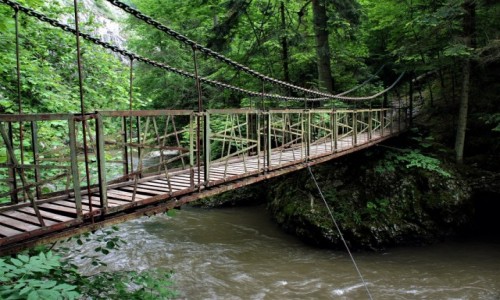 Zdjcie SOWACJA / Spisz / Przeom Hornadu / Mostek