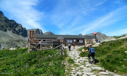 Zdjecie SOWACJA / Wysokie Tatry. / Dolina Starolena. / Przy Zbjnickim Schronisku.