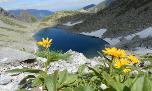 Zdjecie SOWACJA / tatry / maa wysoka / litworowa dolina ze stawem 