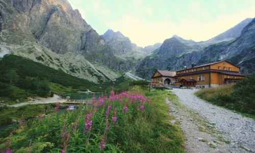 Zdjcie SOWACJA / Tatry / Zielony Staw Kiemarski  / Do schroniska