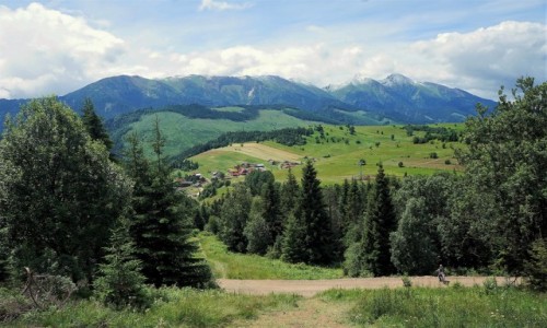 Zdjcie SOWACJA / Poprad / Bachledowa Dolina / Tatry Bielskie