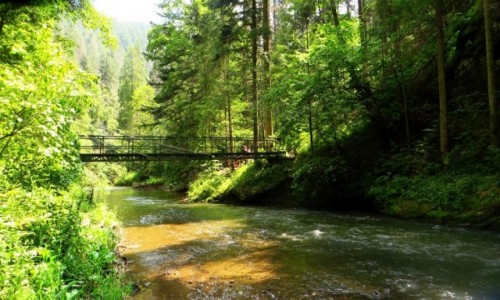 Zdjcie SOWACJA / Spisz / Sowacki Raj / przeom Hornadu
