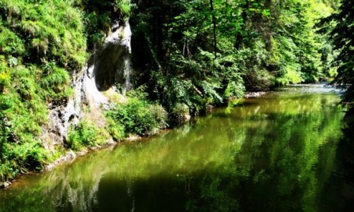 Zdjcie SOWACJA / Spisz / Sowacki Raj / przeom Hornadu