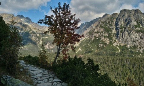 Zdjecie SOWACJA / tatry / na szlaku... / w drodze na Rysy