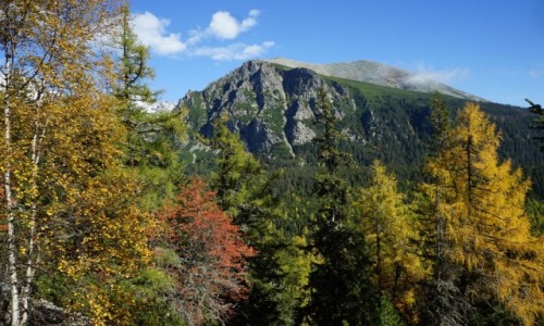 Zdjcie SOWACJA /  Wysokie Tatry / W drodze nad Popradzki Staw / Barwy jesieni