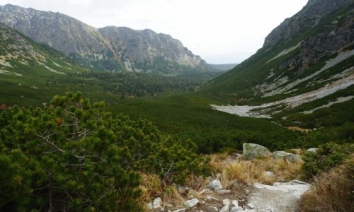 Zdjecie SOWACJA / Wysokie Tatry / Hiczowy Staw / Powrt