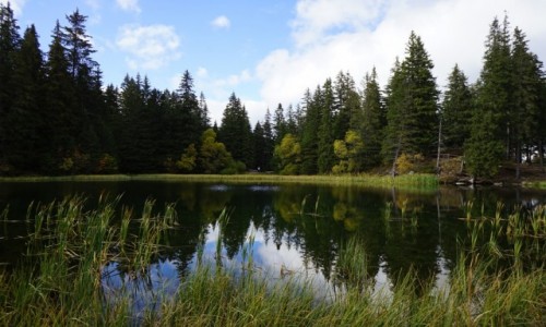 Zdjecie SOWACJA / Nine Tatry / Demianowska Dolina  / Vrbick pleso