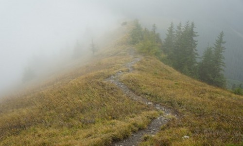 Zdjecie SOWACJA / Nine Tatry / Demianowska Dolina  / Mga na Sinej