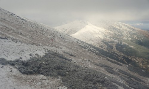 Zdjecie SOWACJA / Tatry Niskie  / Pasmo Dumbiera  / Czym wyej tym bielej