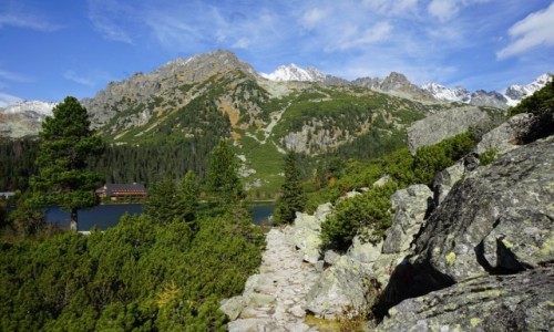 Zdjcie SOWACJA / Tatry Wysokie / Popradzki Staw / ty szlak