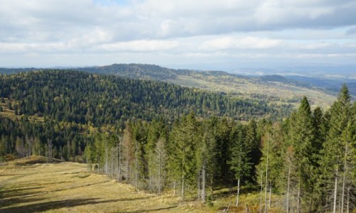 Zdjecie SOWACJA / Tatry Bielskie / . / Bachledowa Dolina