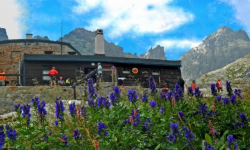 Zdjecie SOWACJA / Wysokie Tatry. / Dolina Piciu Staww Spiskich. / Chata Teryego 2015 m. i Tojad Mocny.