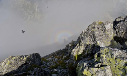 Zdjecie SOWACJA / Tatry Wysokie / Krywa / Moje drugie widmo Brockenu