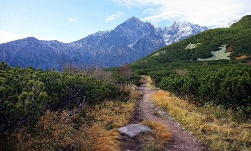 Zdjecie SOWACJA / Wysokie Tatry / . / W drodze nad Zielony Staw Kiemarski