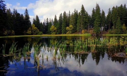 Zdjcie SOWACJA / Nine Tatry / Demianowska Dolina / Vrbick pleso / Nad Vrbickm plese