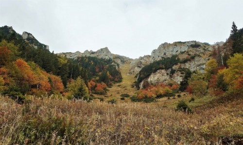 Zdjcie SOWACJA / Tatry Bielskie / Okolice schroniska Szarotka / Widok na Skalne Wrota