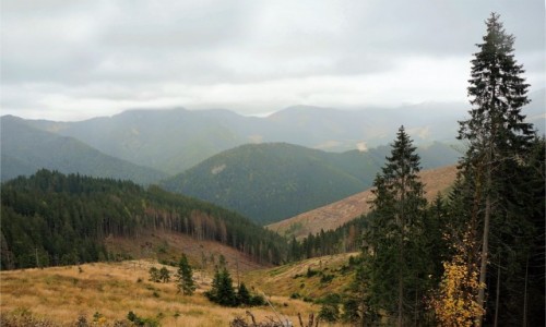 Zdjecie SOWACJA / Dumbierskie Tatry / W drodze na Sin / Sino, czyli jakie miejsce taki krajobraz