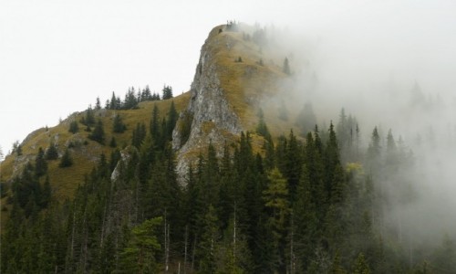 Zdjcie SOWACJA / Dumbierskie Tatry / . / Sina w swojej krasie