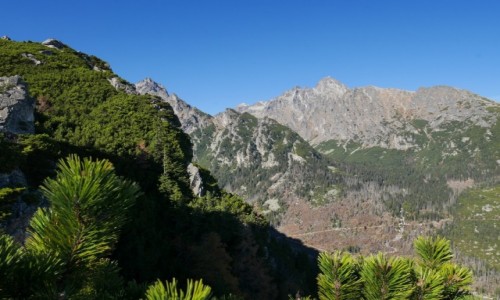 Zdjecie SOWACJA / Tatry / Punkt widokowy / omnica z Maximilianki