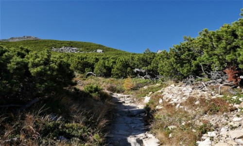 Zdjecie SOWACJA / Tatry / ... / Sawkowski Szczyt na dugie dni