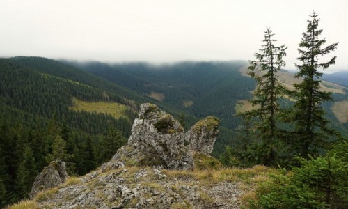 Zdjcie SOWACJA / Dumbierskie Tatry / . / Punkt widokowy