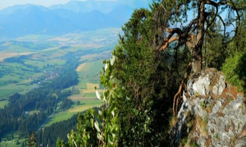 Zdjcie SOWACJA / Rozstaje pod Babkami. / Szlak na Siwy Wierch. / W Tatrach Zachodnich - Panorama.