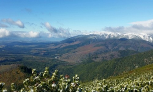 Zdjecie SOWACJA / Tatry / Krywa / Widok na Bystr