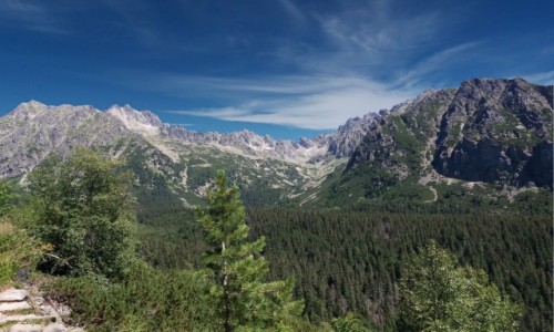 Zdjecie SOWACJA / Wysokie Tatry. / Szlak: Szczyrbski Staw - Popradzki Staw. / Dolina Zomisk.
