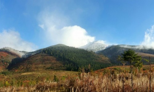Zdjecie SOWACJA / Tatry / Krywa  / Tatry