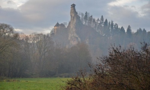 Zdjcie SOWACJA / Orawa / powiat Dolny Kubin / Poranna rosa, mga, wdziczne tematy