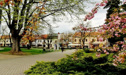 Zdjecie SOWACJA / Kraj koszycki / Nowa Wie Spiska / Wiosennie