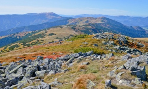 Zdjęcie SłOWACJA / Tatry Niżne / Szlak na Chabenec / W Tatrach Niskich