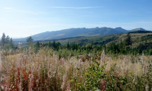 Zdjecie SłOWACJA / KRIWAŃ / KRIWAŃ / SZLAK na KRIWAŃ