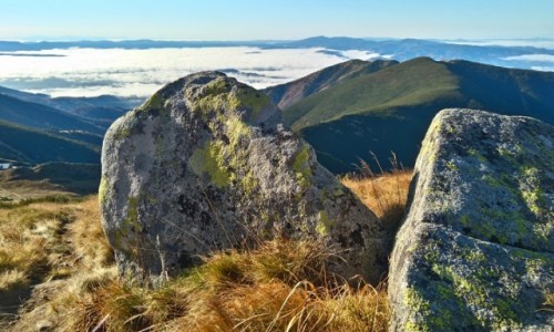 Zdjęcie SłOWACJA / Tatry Niskie / Dumbier  / tuż pod szczytem...