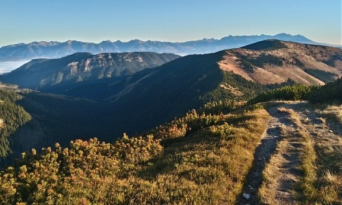 Zdjęcie SłOWACJA / Tatry Niskie / gdzieś na szlaku / jesień w Tatrach Niskich