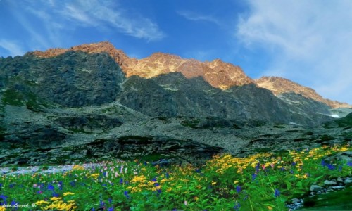 Zdjcie SOWACJA / Wysokie Tatry. / Szlak na Polski Grzebie. / Gerlach w Wielickiej Dolinie.