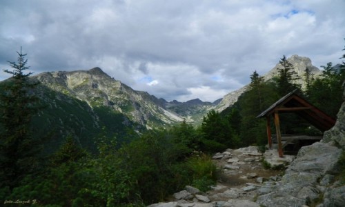 Zdjecie SOWACJA / Wysokie Tatry. / Szlak do Skalnego Stawu. / omnicka Vyhliadka.