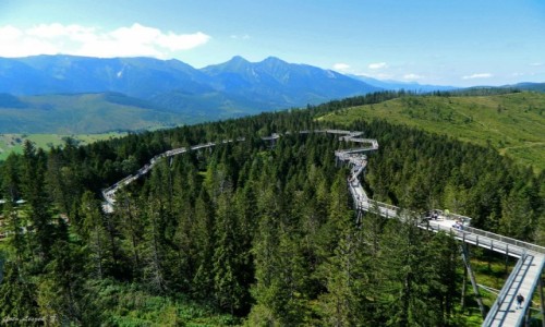Zdjęcie SłOWACJA / Ździar / Bachledowa Dolina. / Ścieżka w koronach drzew.