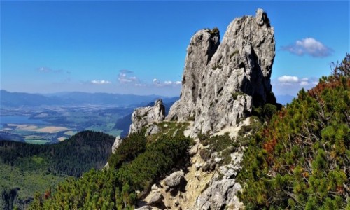 Zdjęcie SłOWACJA / tatry zachodnie / hochschwab / w drodze na siwy wierch