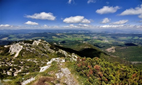Zdjcie SOWACJA / tatry zachodnie / okolice Siwego Wierchu / Tatry Zachodnie