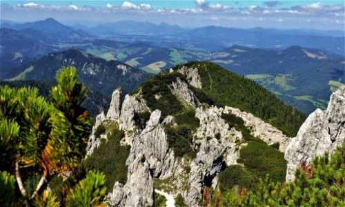 Zdjcie SOWACJA / tatry zachodnie / okolice Siwego Wierchu / Cuda z gry